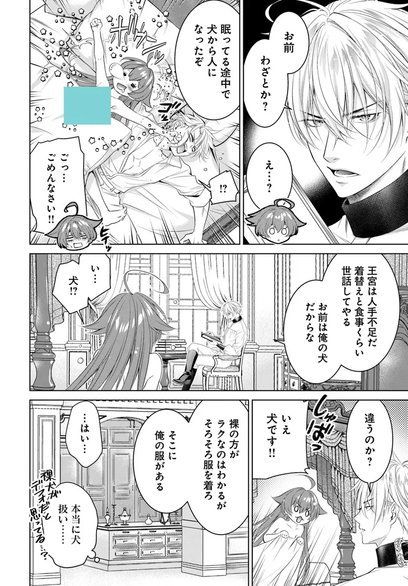 国王陛下、私を飼ってください! ～妹の身代わりで貢ぎ物にされましたが、愛され犬を目指します～ 第5話 - 14