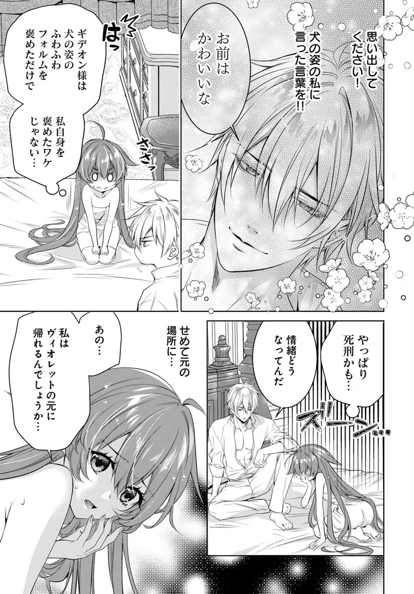 国王陛下、私を飼ってください! ～妹の身代わりで貢ぎ物にされましたが、愛され犬を目指します～ 第4話 - 11