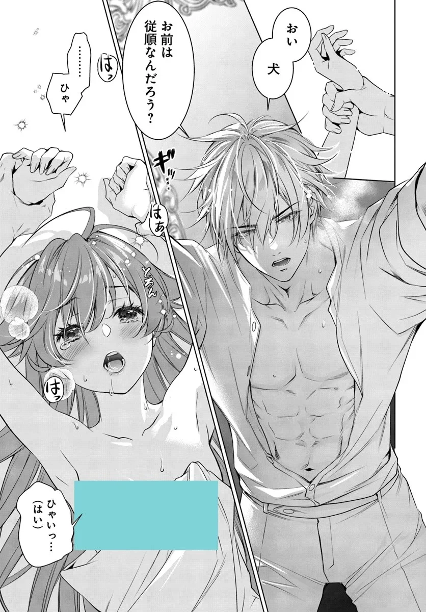 国王陛下、私を飼ってください! ～妹の身代わりで貢ぎ物にされましたが、愛され犬を目指します～ 第4話 - 19