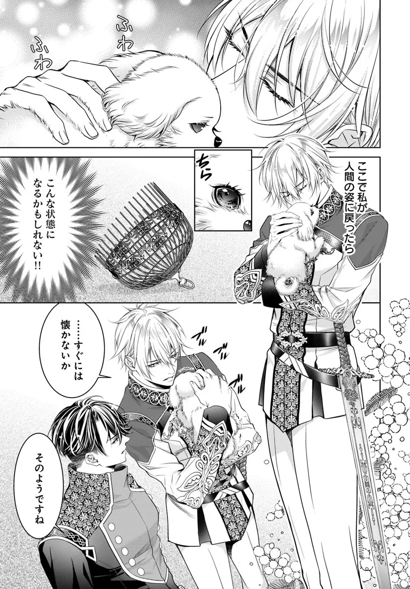 国王陛下、私を飼ってください! ～妹の身代わりで貢ぎ物にされましたが、愛され犬を目指します～ 第3話 - 1