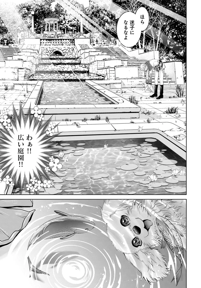 国王陛下、私を飼ってください! ～妹の身代わりで貢ぎ物にされましたが、愛され犬を目指します～ 第3話 - 3