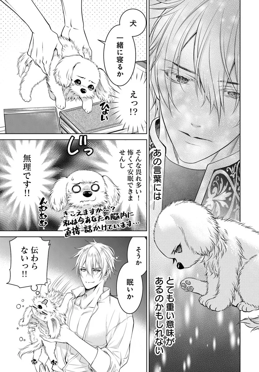 国王陛下、私を飼ってください! ～妹の身代わりで貢ぎ物にされましたが、愛され犬を目指します～ 第3話 - 7