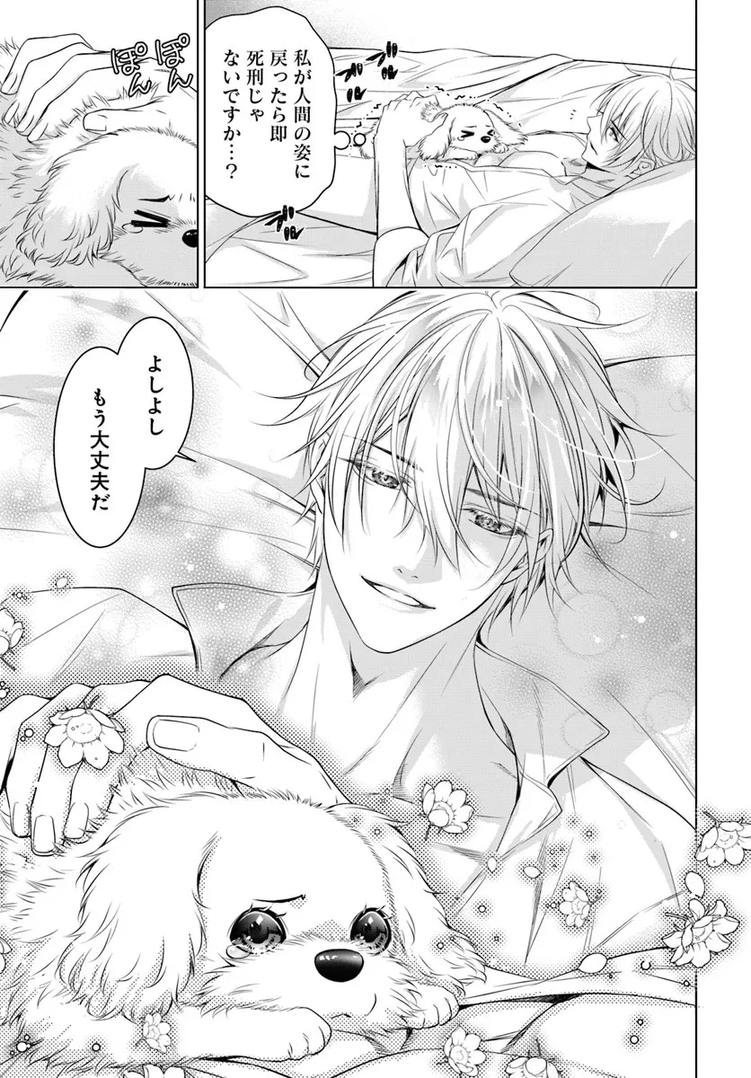 国王陛下、私を飼ってください! ～妹の身代わりで貢ぎ物にされましたが、愛され犬を目指します～ 第3話 - 9