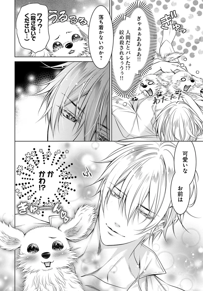 国王陛下、私を飼ってください! ～妹の身代わりで貢ぎ物にされましたが、愛され犬を目指します～ 第3話 - 12