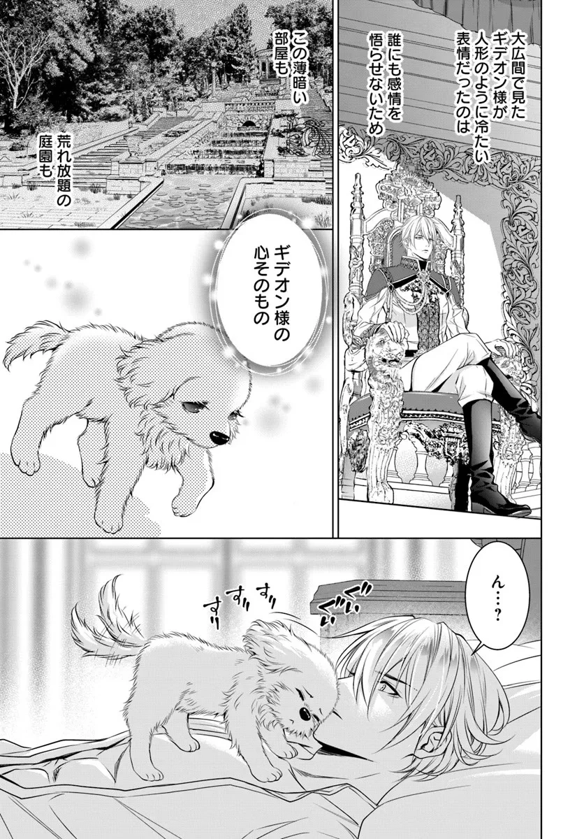 国王陛下、私を飼ってください! ～妹の身代わりで貢ぎ物にされましたが、愛され犬を目指します～ 第3話 - 15