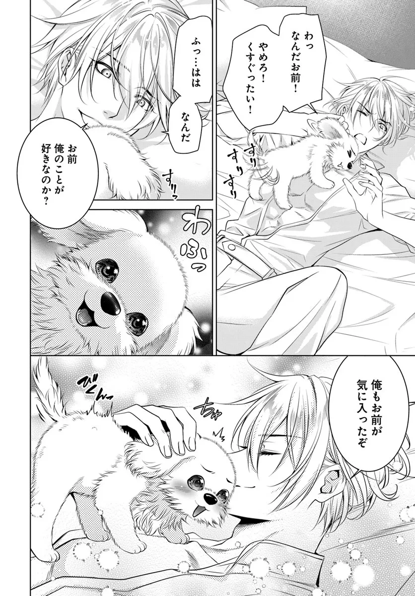 国王陛下、私を飼ってください! ～妹の身代わりで貢ぎ物にされましたが、愛され犬を目指します～ 第3話 - 16