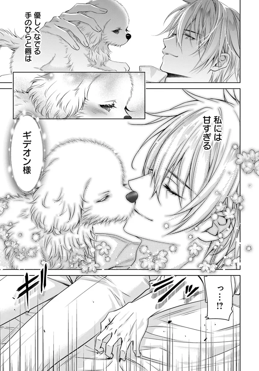 国王陛下、私を飼ってください! ～妹の身代わりで貢ぎ物にされましたが、愛され犬を目指します～ 第3話 - 19