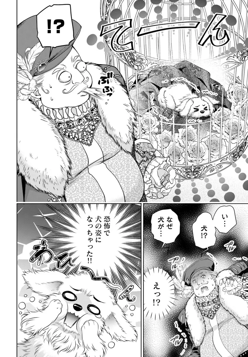 国王陛下、私を飼ってください! ～妹の身代わりで貢ぎ物にされましたが、愛され犬を目指します～ 第2話 - 10