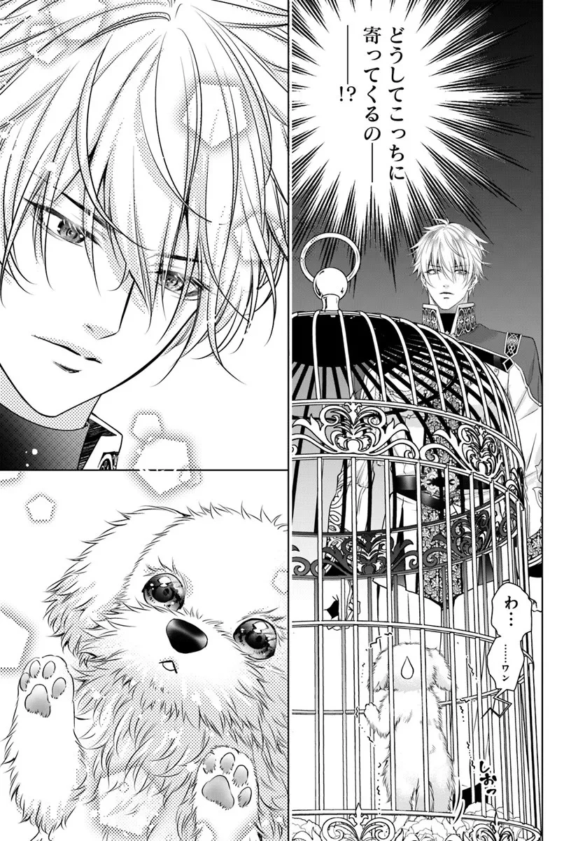 国王陛下、私を飼ってください! ～妹の身代わりで貢ぎ物にされましたが、愛され犬を目指します～ 第2話 - 15