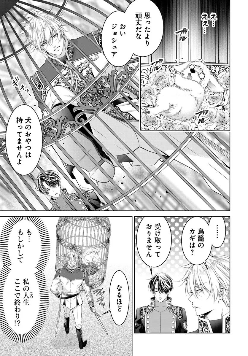 国王陛下、私を飼ってください! ～妹の身代わりで貢ぎ物にされましたが、愛され犬を目指します～ 第2話 - 17