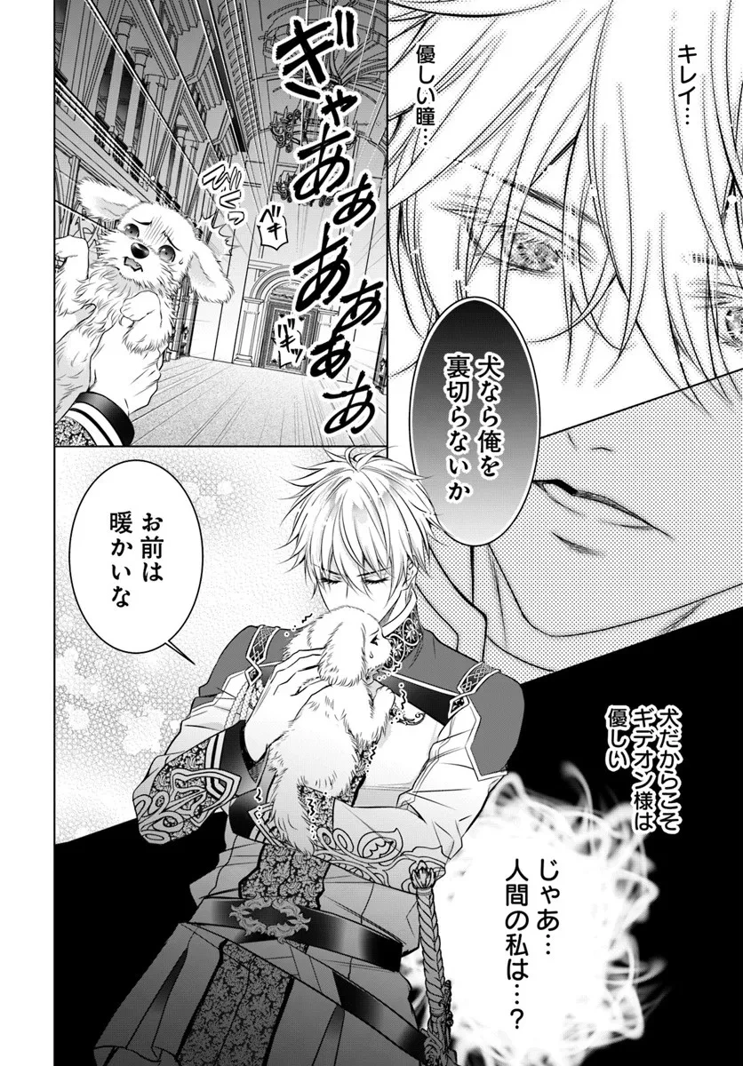 国王陛下、私を飼ってください! ～妹の身代わりで貢ぎ物にされましたが、愛され犬を目指します～ 第2話 - 24