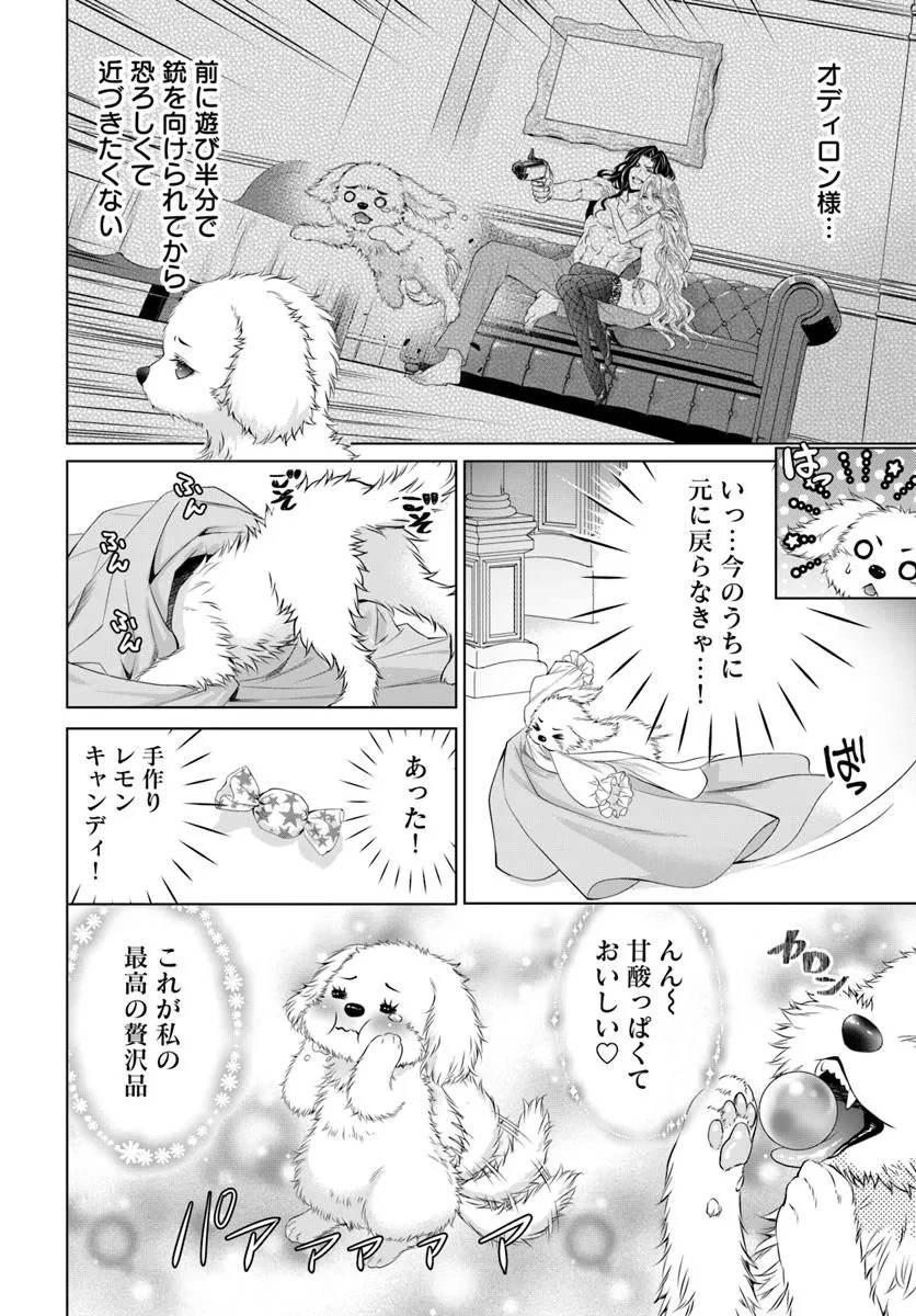 国王陛下、私を飼ってください! ～妹の身代わりで貢ぎ物にされましたが、愛され犬を目指します～ 第1話 - 13
