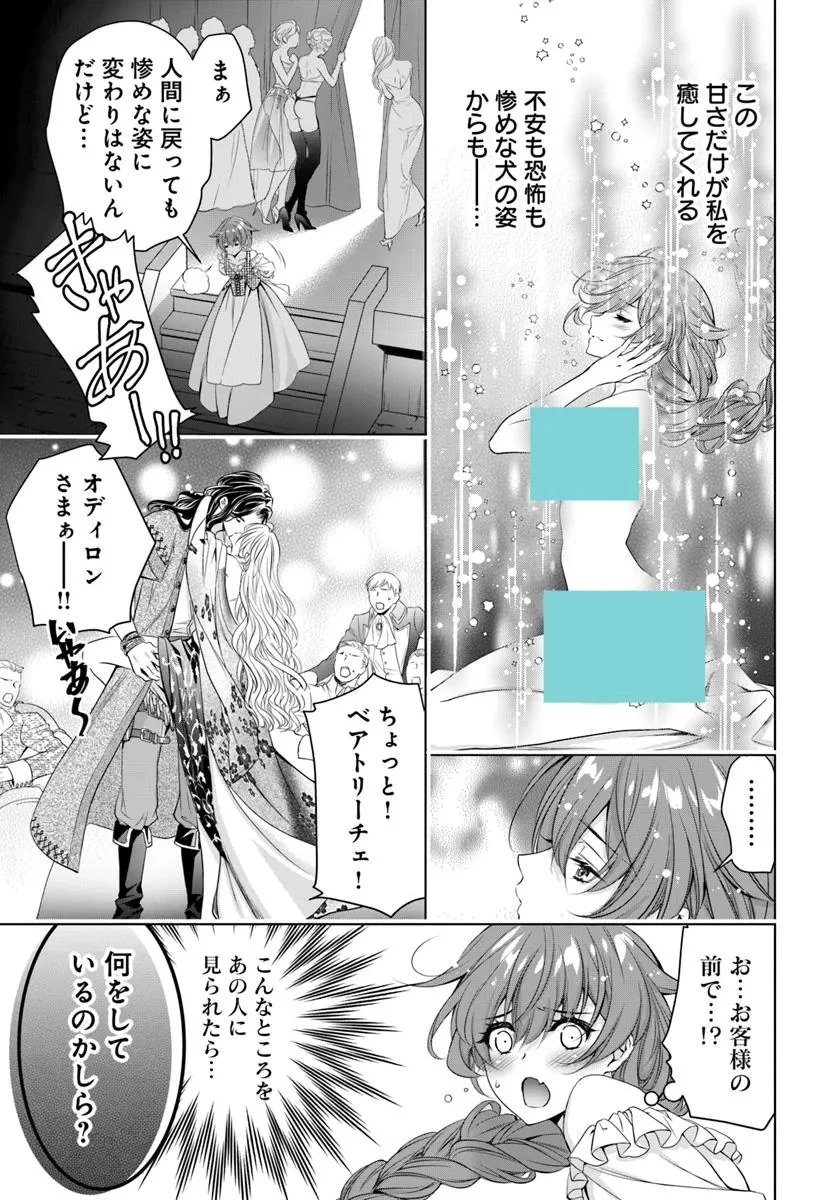 国王陛下、私を飼ってください! ～妹の身代わりで貢ぎ物にされましたが、愛され犬を目指します～ 第1話 - 14