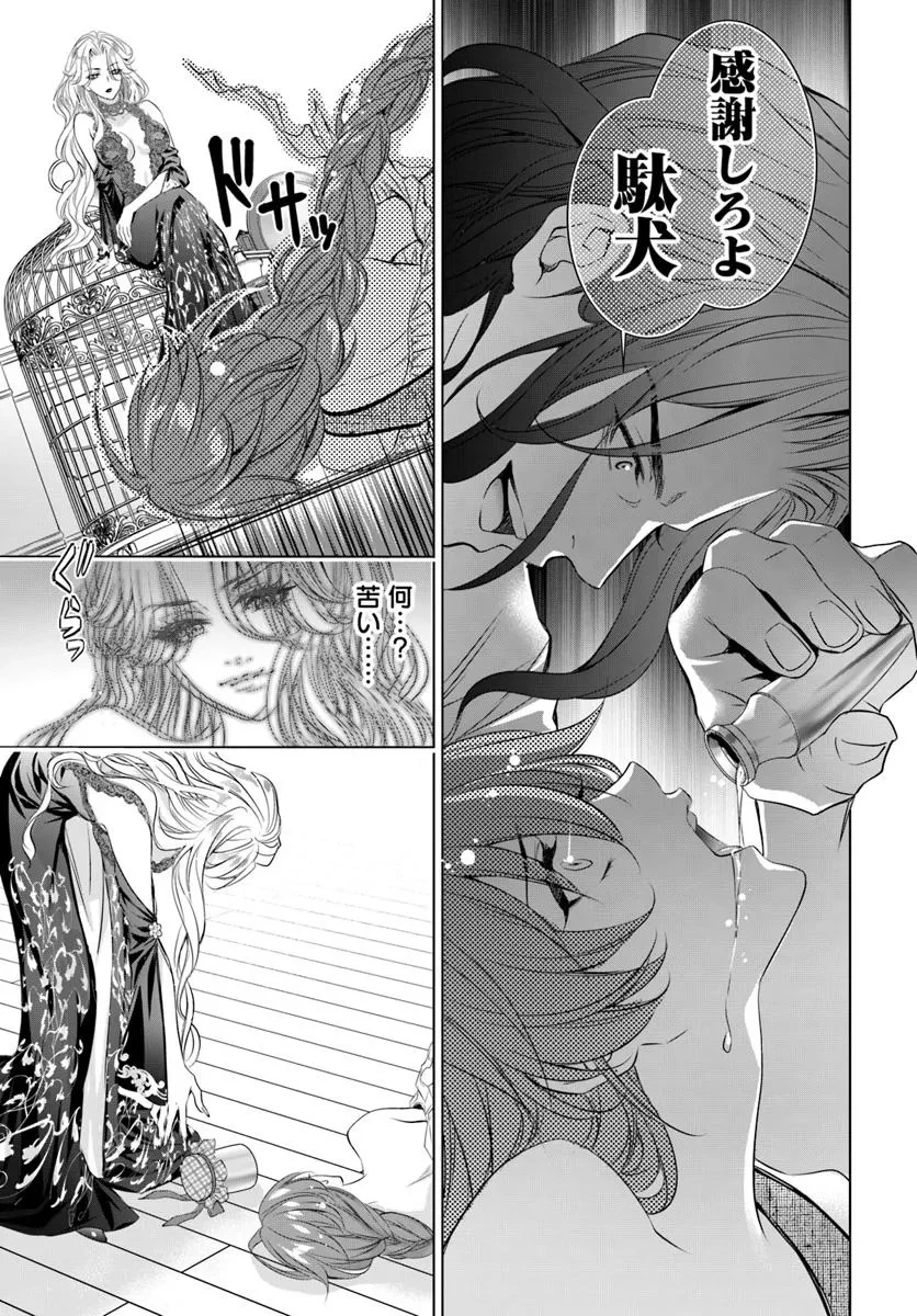 国王陛下、私を飼ってください! ～妹の身代わりで貢ぎ物にされましたが、愛され犬を目指します～ 第1話 - 30