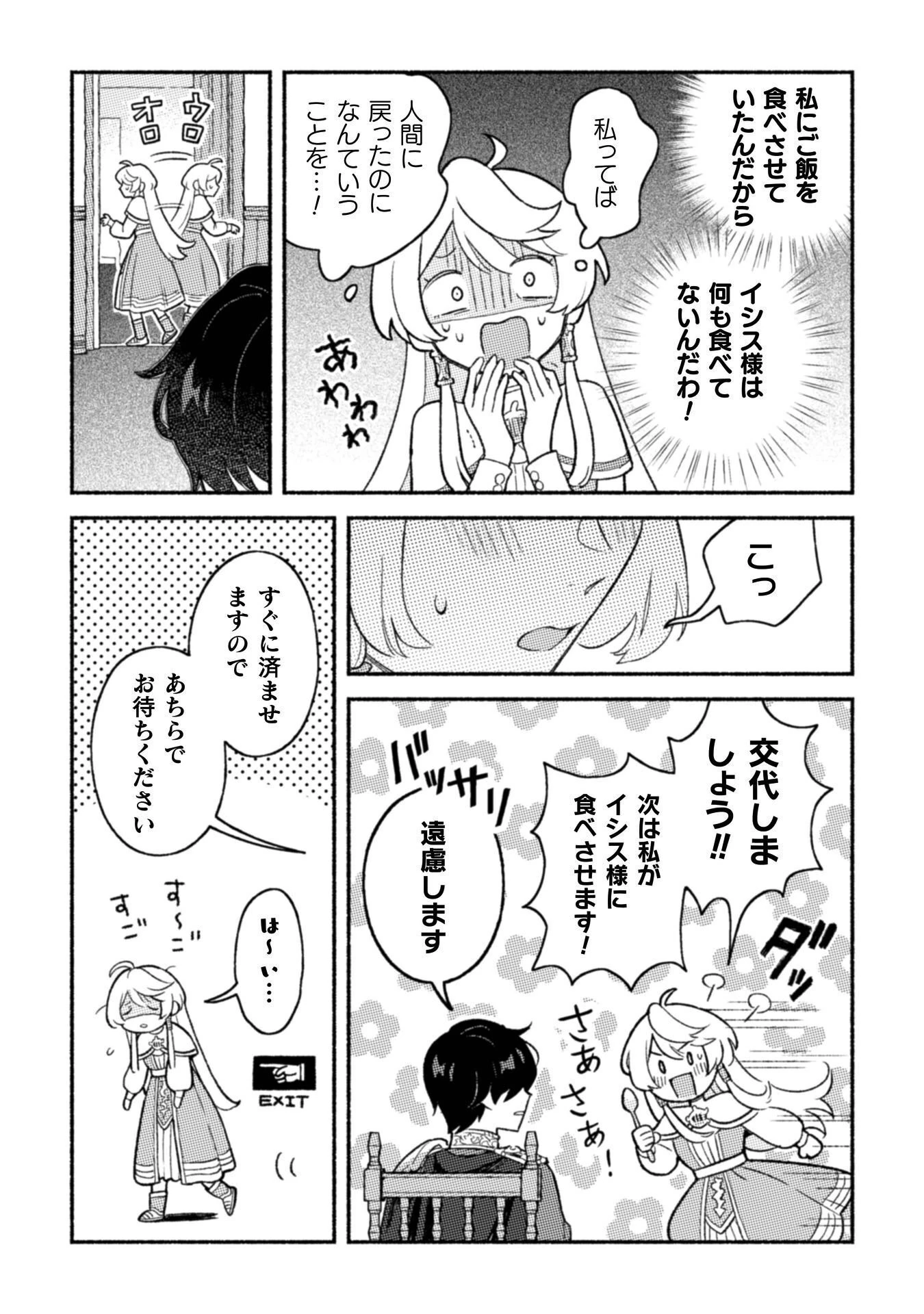 根暗騎士による溺愛満喫中のブサ猫、実は聖女です! 第11話 - 10