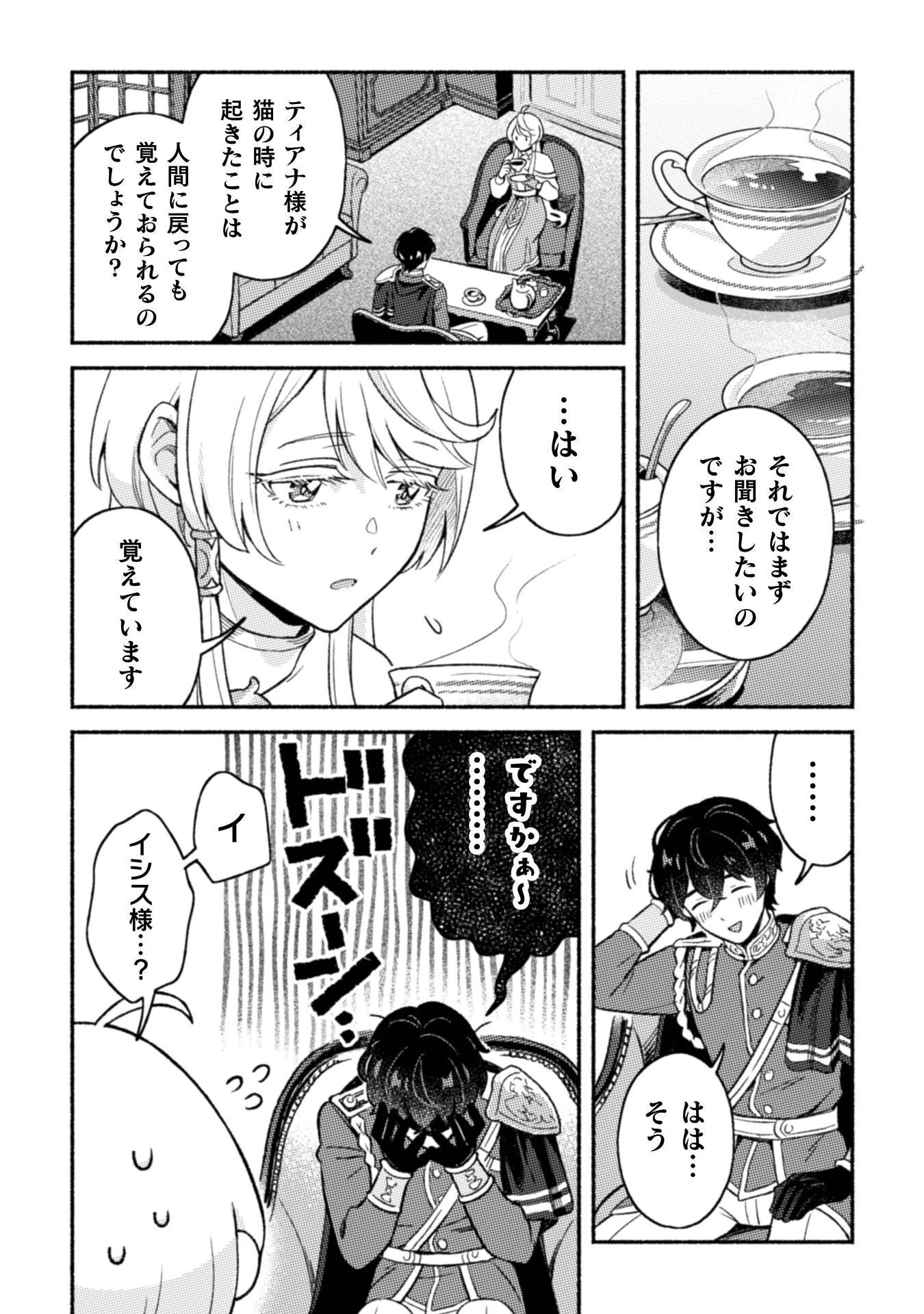 根暗騎士による溺愛満喫中のブサ猫、実は聖女です! 第11話 - 11