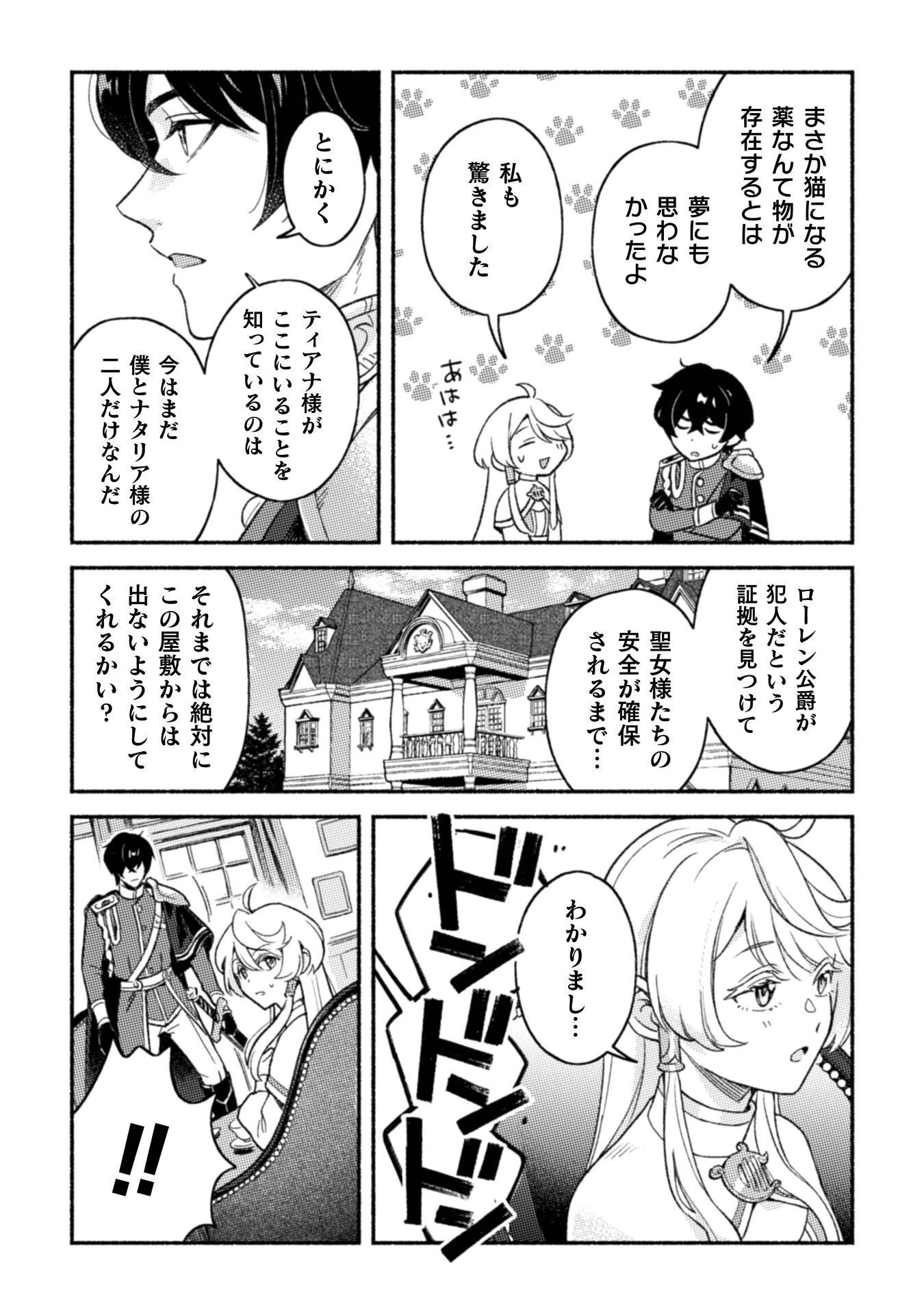 根暗騎士による溺愛満喫中のブサ猫、実は聖女です! 第11話 - 20