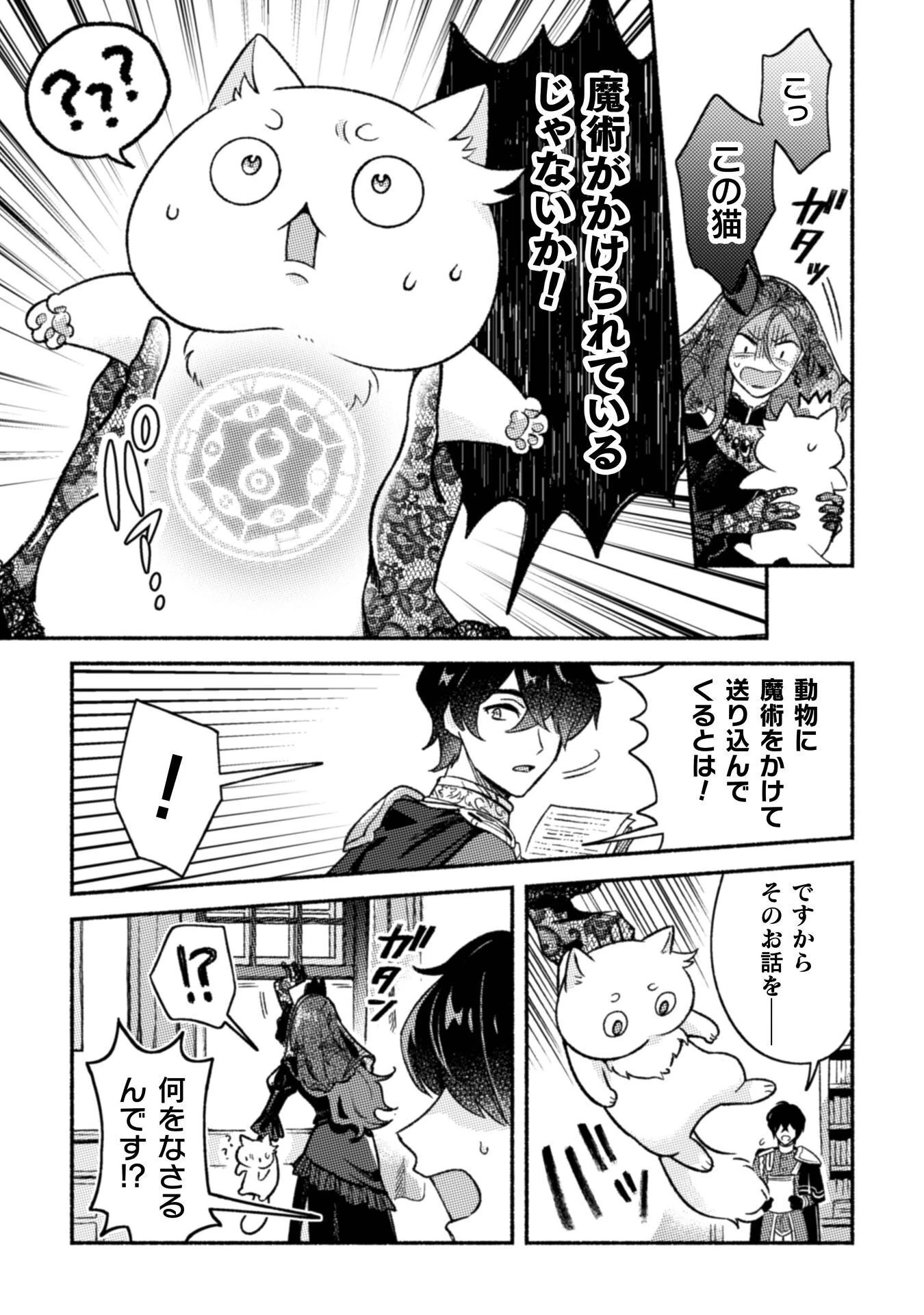 根暗騎士による溺愛満喫中のブサ猫、実は聖女です! 第11話 - 28