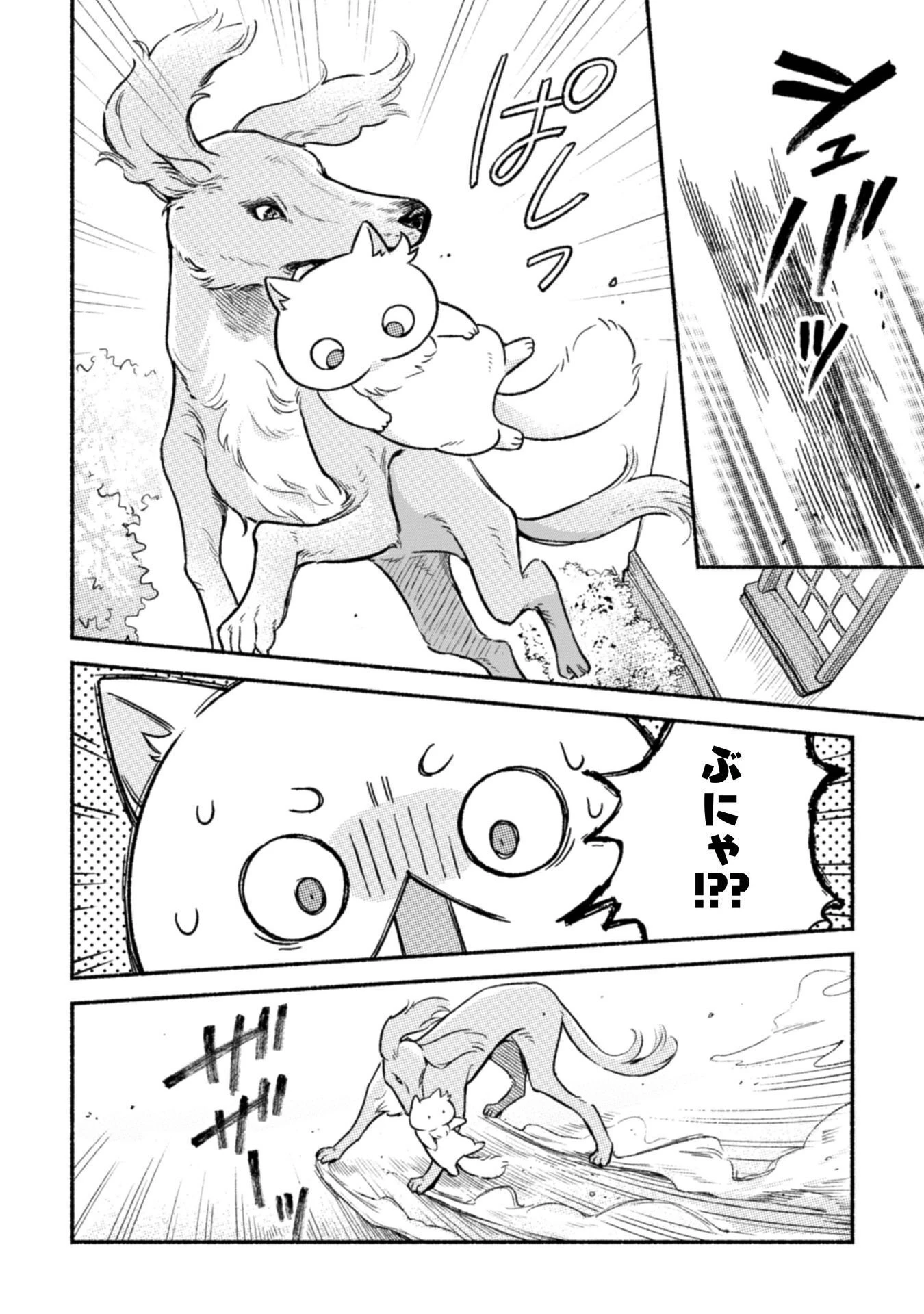 根暗騎士による溺愛満喫中のブサ猫、実は聖女です! 第11話 - 31