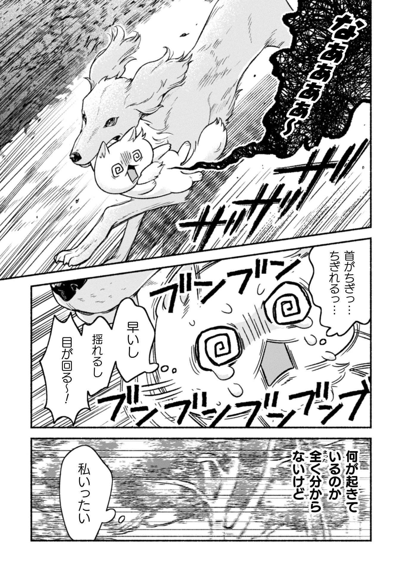 根暗騎士による溺愛満喫中のブサ猫、実は聖女です! 第11話 - 34