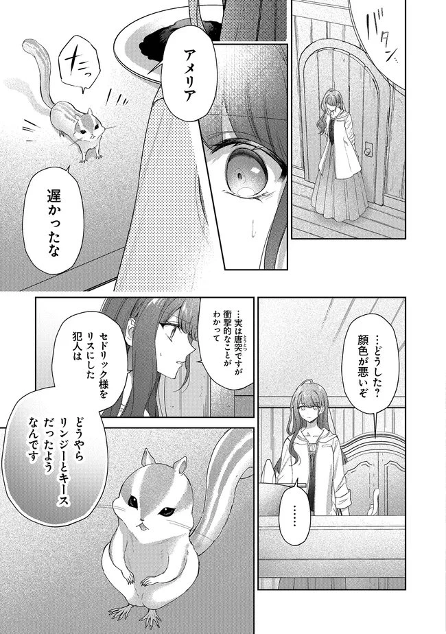 リスになってしまった婚約者が、毛嫌いしていたはずの私に助けを求めてきました。 第11話 - 7