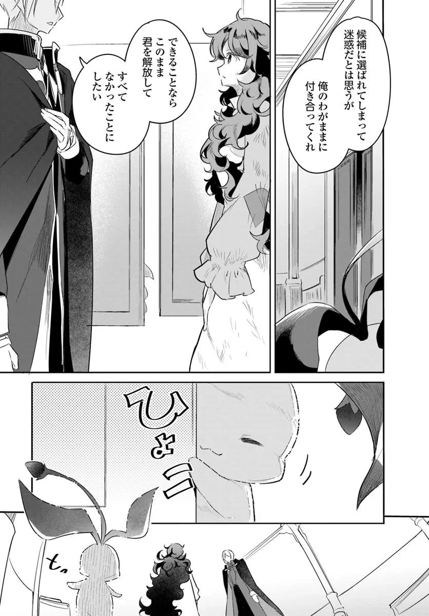 ひきこもり令嬢なのに、氷の辺境伯の花嫁(※期間限定)に選ばれてしまった 第2話 - 11