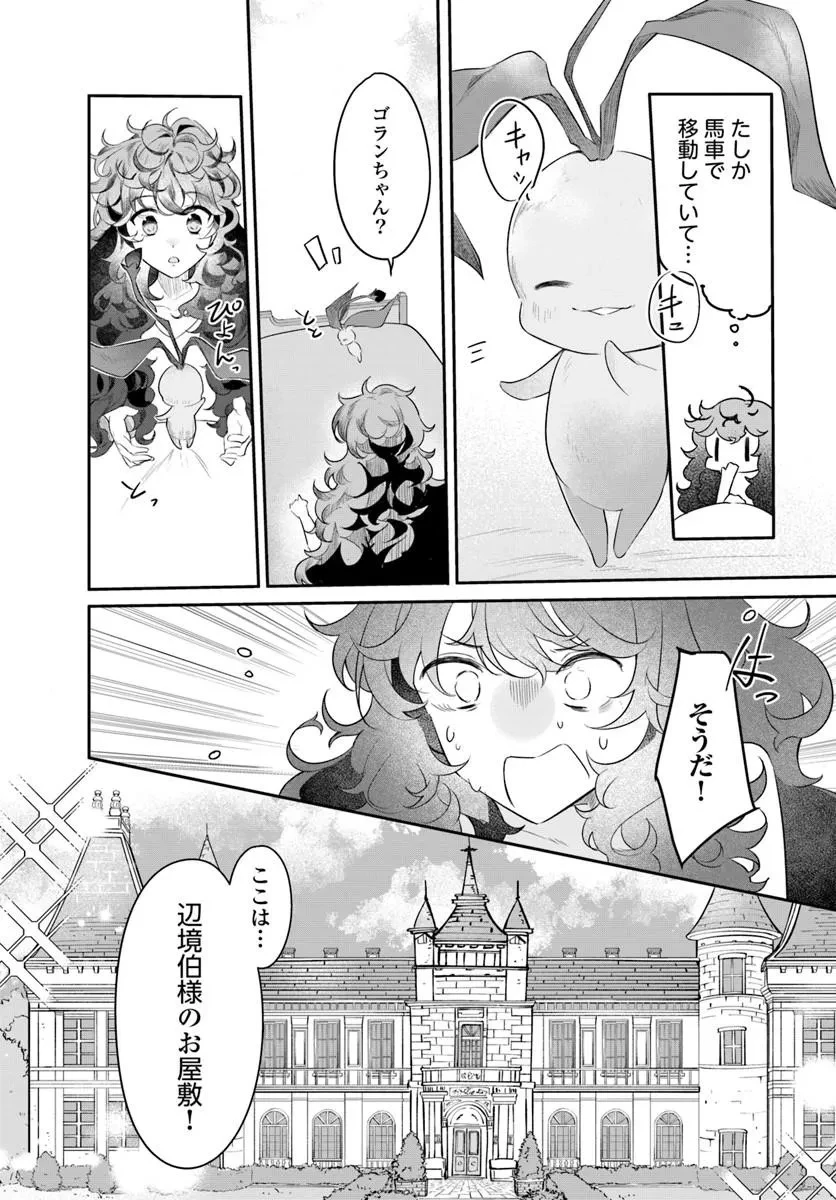 ひきこもり令嬢なのに、氷の辺境伯の花嫁(※期間限定)に選ばれてしまった 第2話 - 30