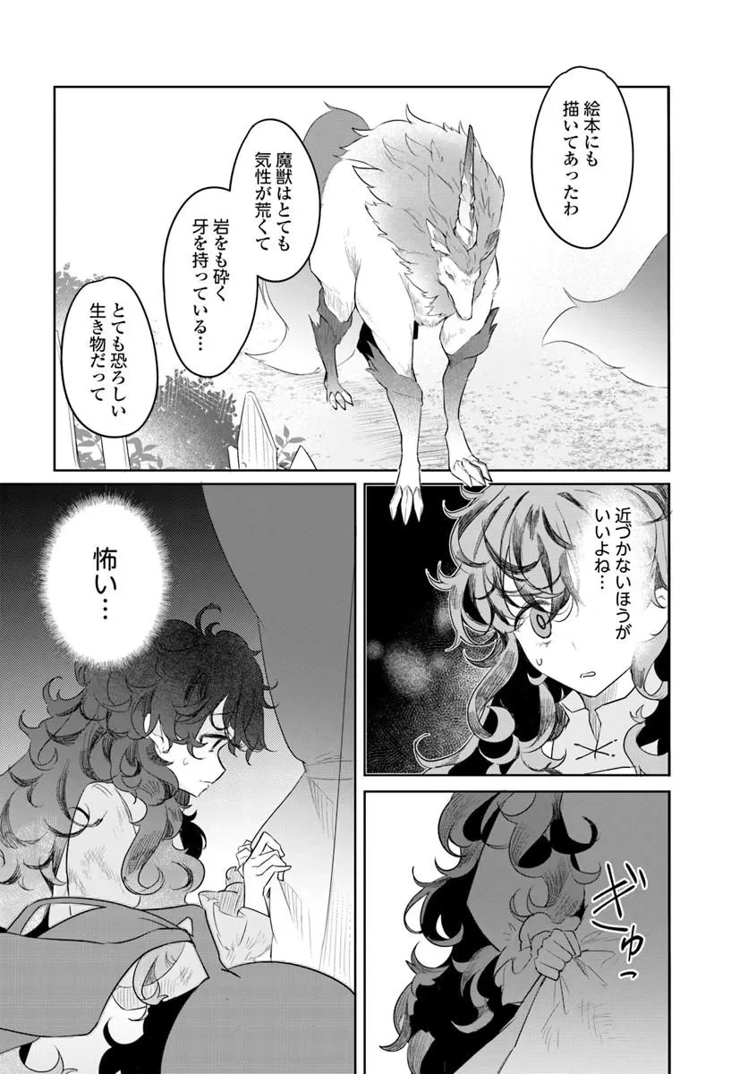 ひきこもり令嬢なのに、氷の辺境伯の花嫁(※期間限定)に選ばれてしまった 第2話 - 37