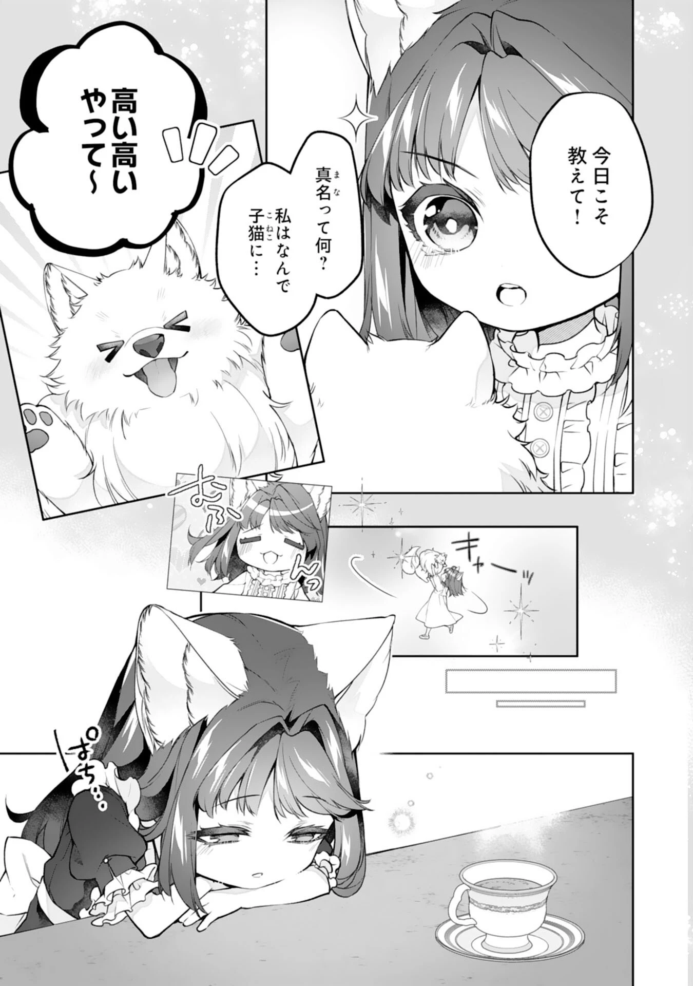 ねこねこ幼女の愛情ごはん 第16話 - 3