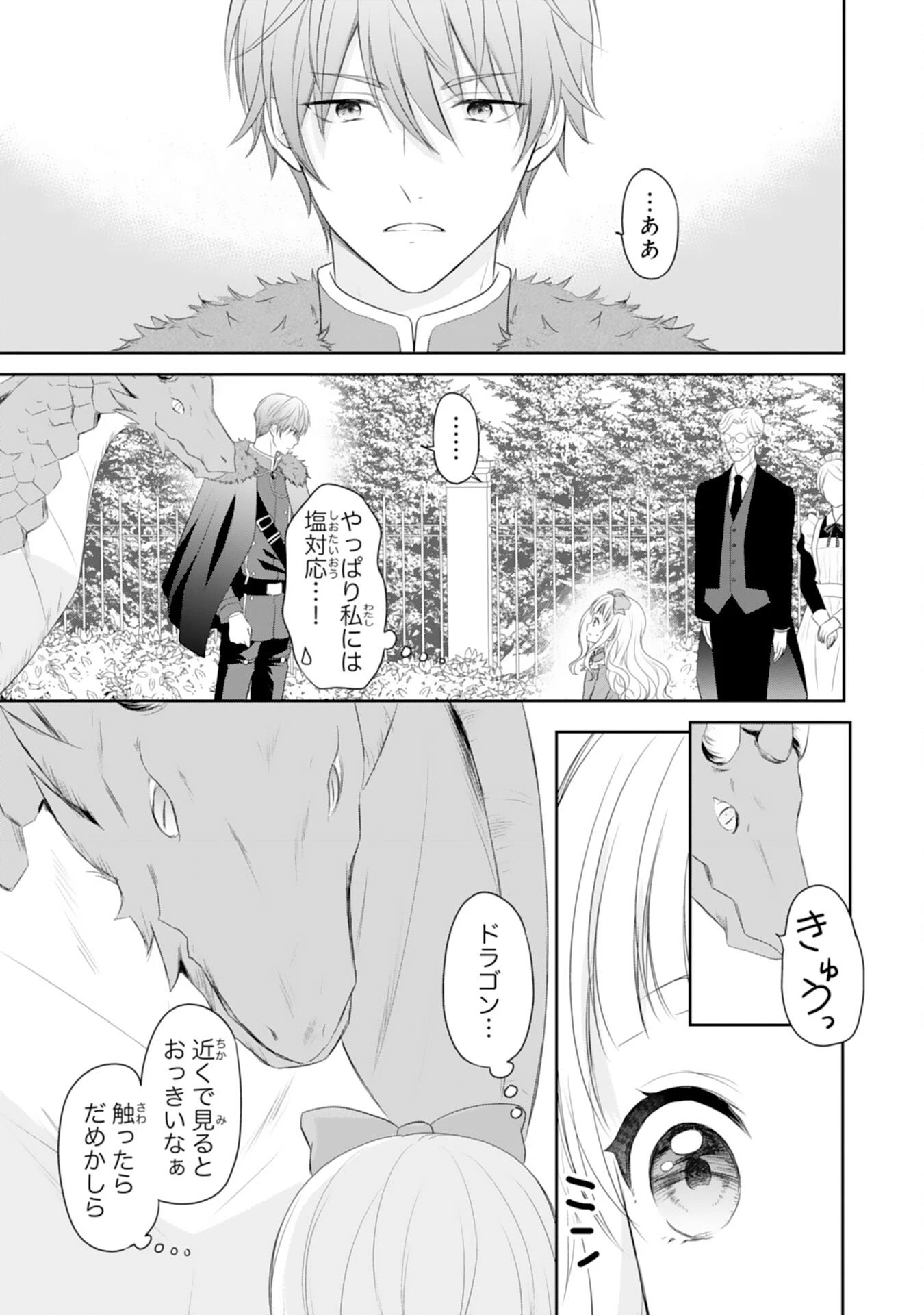 六歳の王女ですが、嫌われ竜騎士に嫁ぐことになりました～兄姉に虐げられた末っ子が、過保護に愛でられ幸せになるまで～ 第3話 - 27