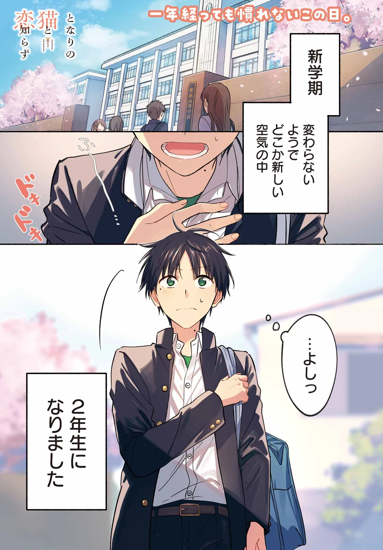 となりの猫と恋知らず 第33話 - 1