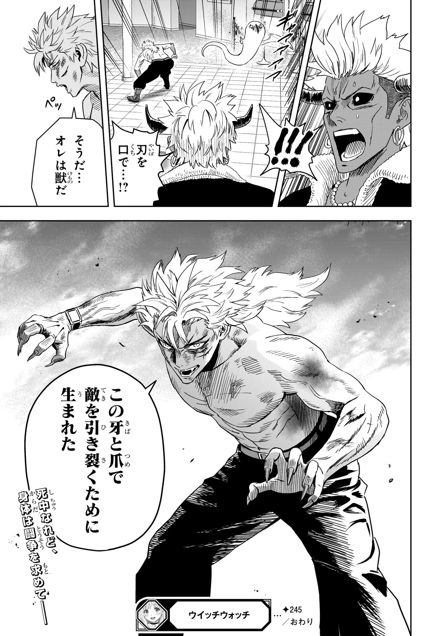 ウィッチウォッチ 第245話 - 19