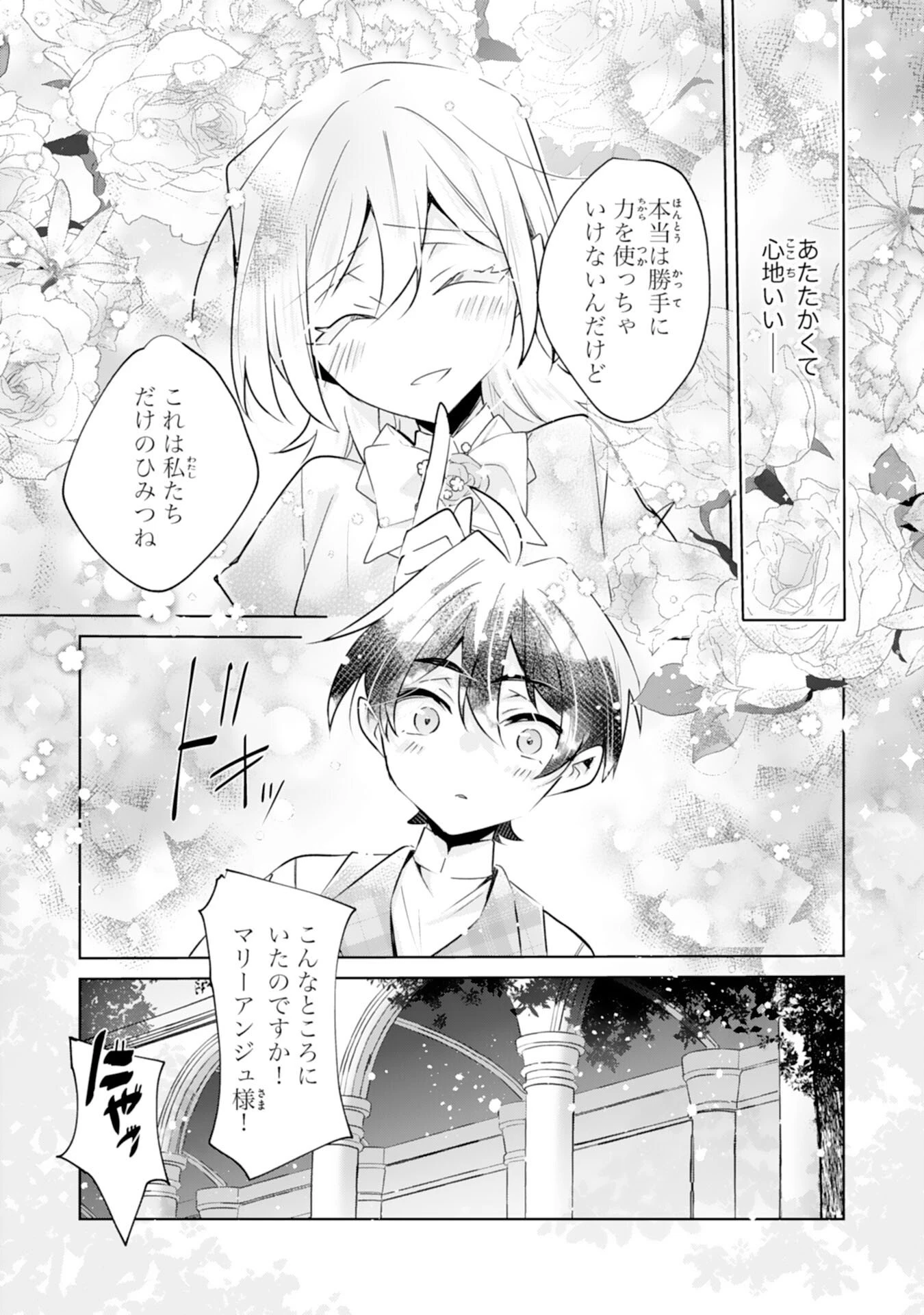 どうも、噂の悪女でございます　聖女の力は差し上げるので、私はお暇頂戴します 第3話 - 27