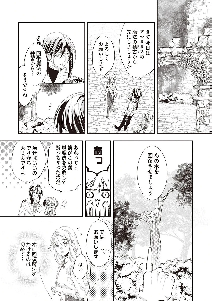 偽物だと敵国に追放されましたが、どうやら本物の聖女は私のようです。 第3話 - 11