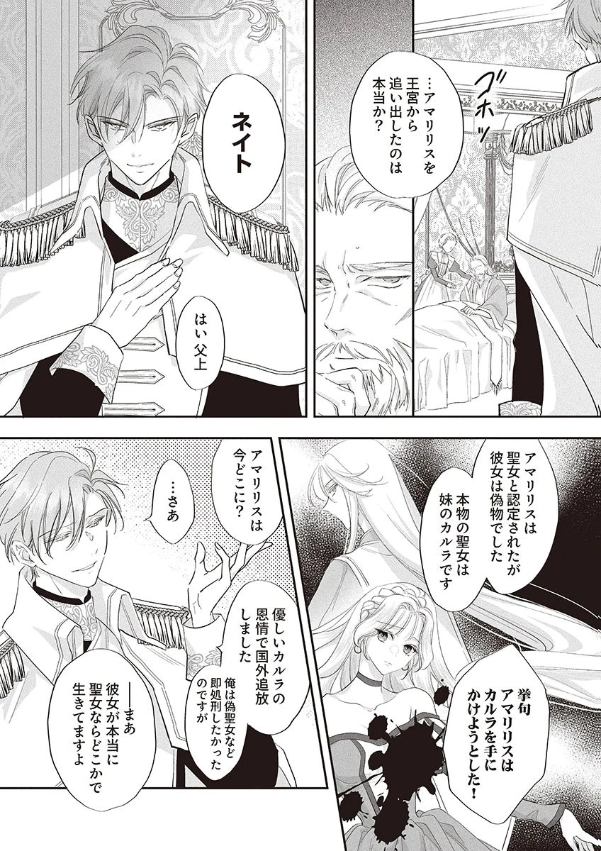 偽物だと敵国に追放されましたが、どうやら本物の聖女は私のようです。 第3話 - 18