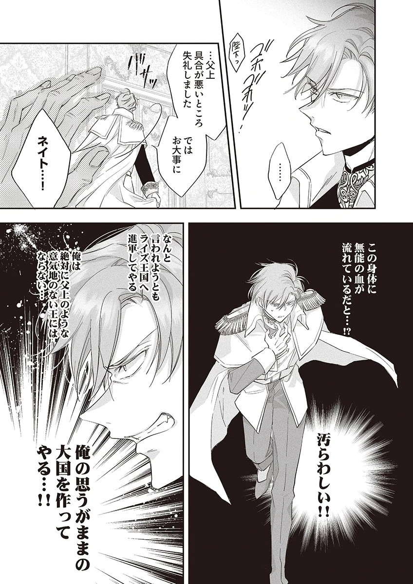 偽物だと敵国に追放されましたが、どうやら本物の聖女は私のようです。 第3話 - 22