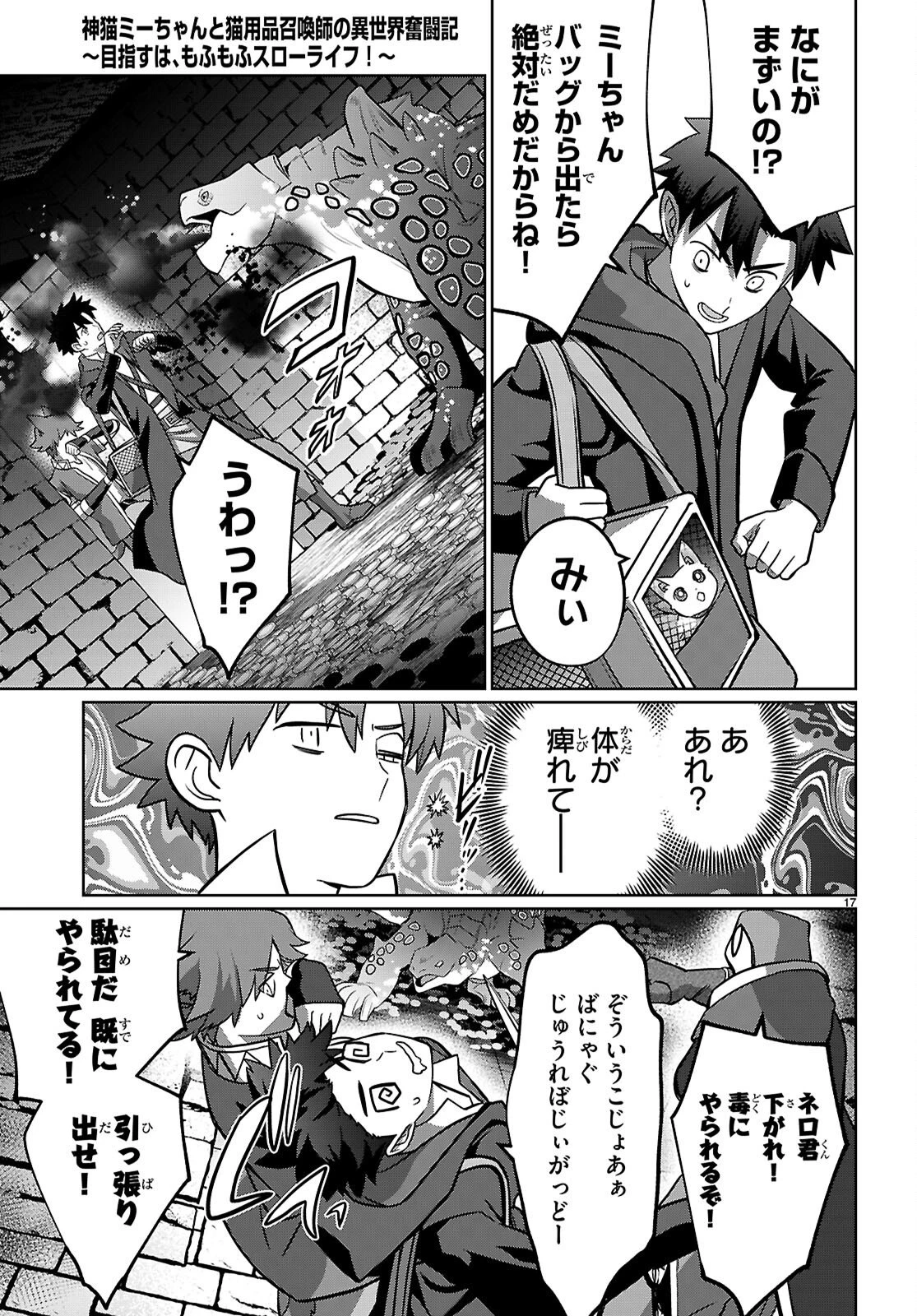 神猫ミーちゃんと猫用品召喚師の異世界奮闘記 ～目指すは、もふもふスローライフ!～ 第9話 - 17