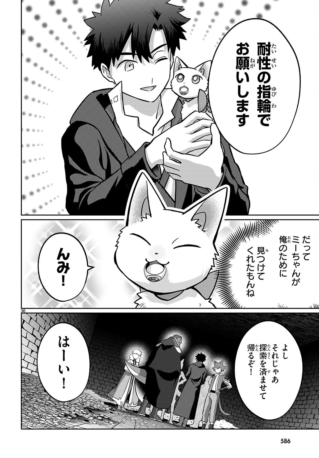 神猫ミーちゃんと猫用品召喚師の異世界奮闘記 ～目指すは、もふもふスローライフ!～ 第9話 - 36