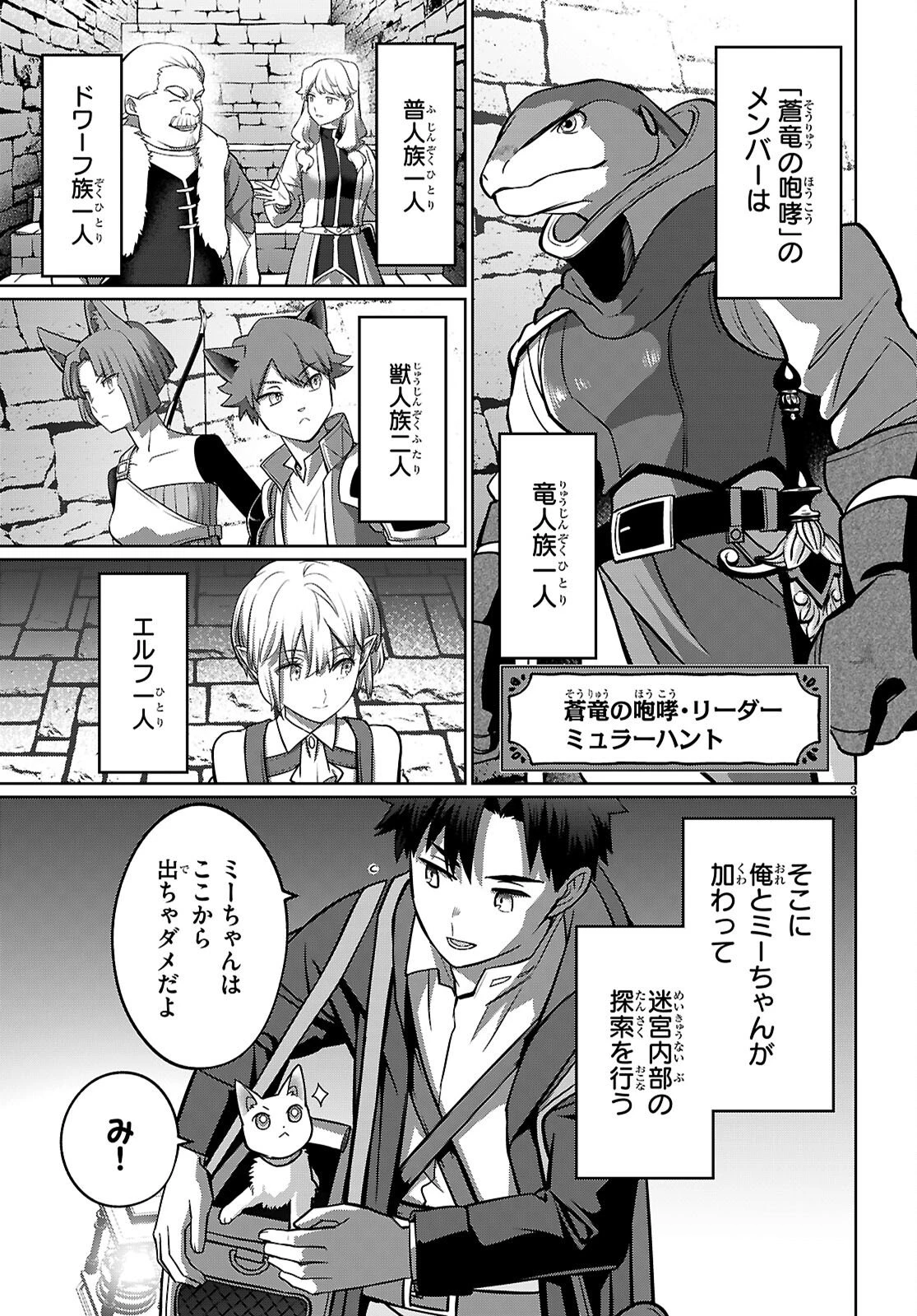 神猫ミーちゃんと猫用品召喚師の異世界奮闘記 ～目指すは、もふもふスローライフ!～ 第8話 - 3