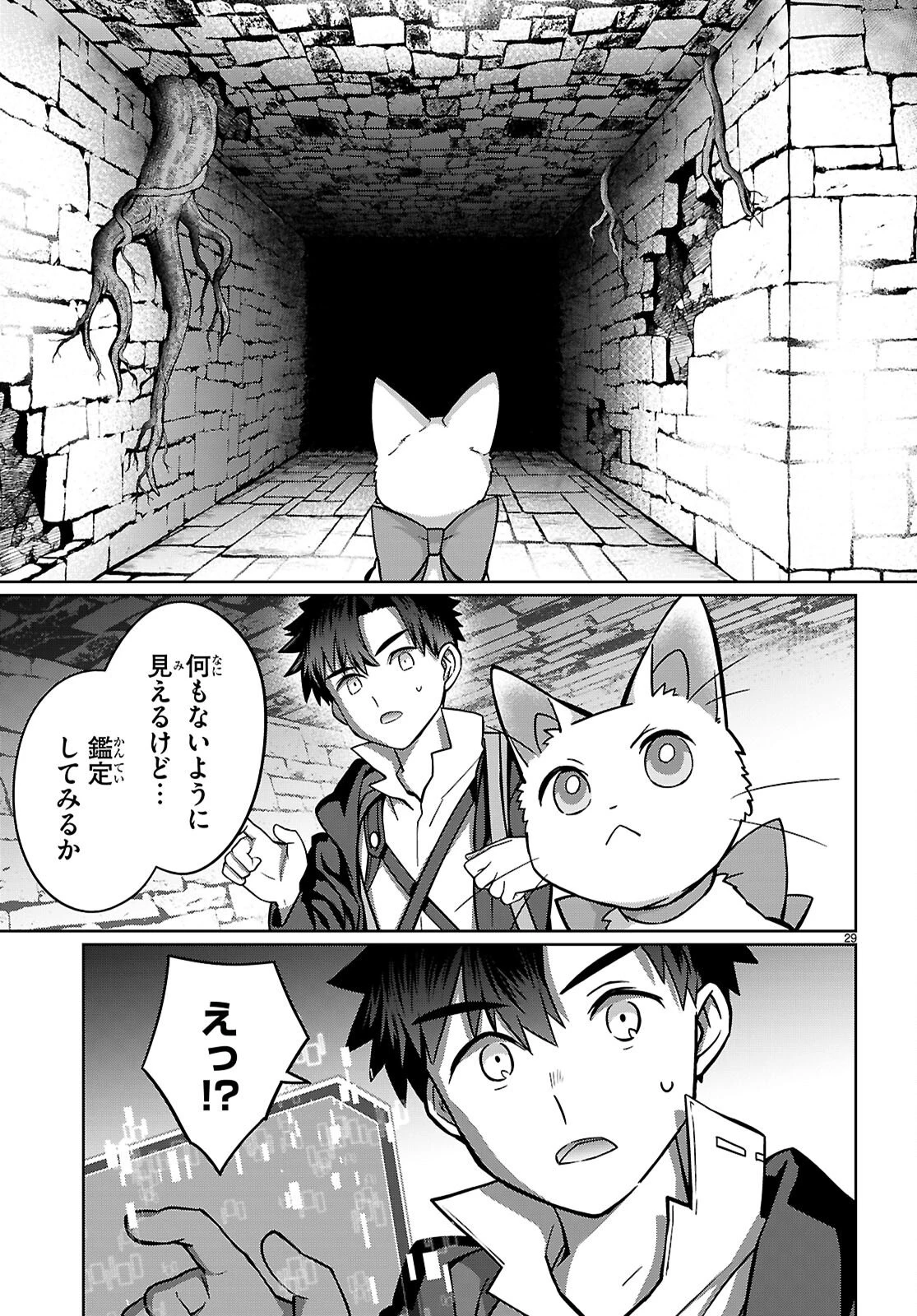 神猫ミーちゃんと猫用品召喚師の異世界奮闘記 ～目指すは、もふもふスローライフ!～ 第8話 - 29