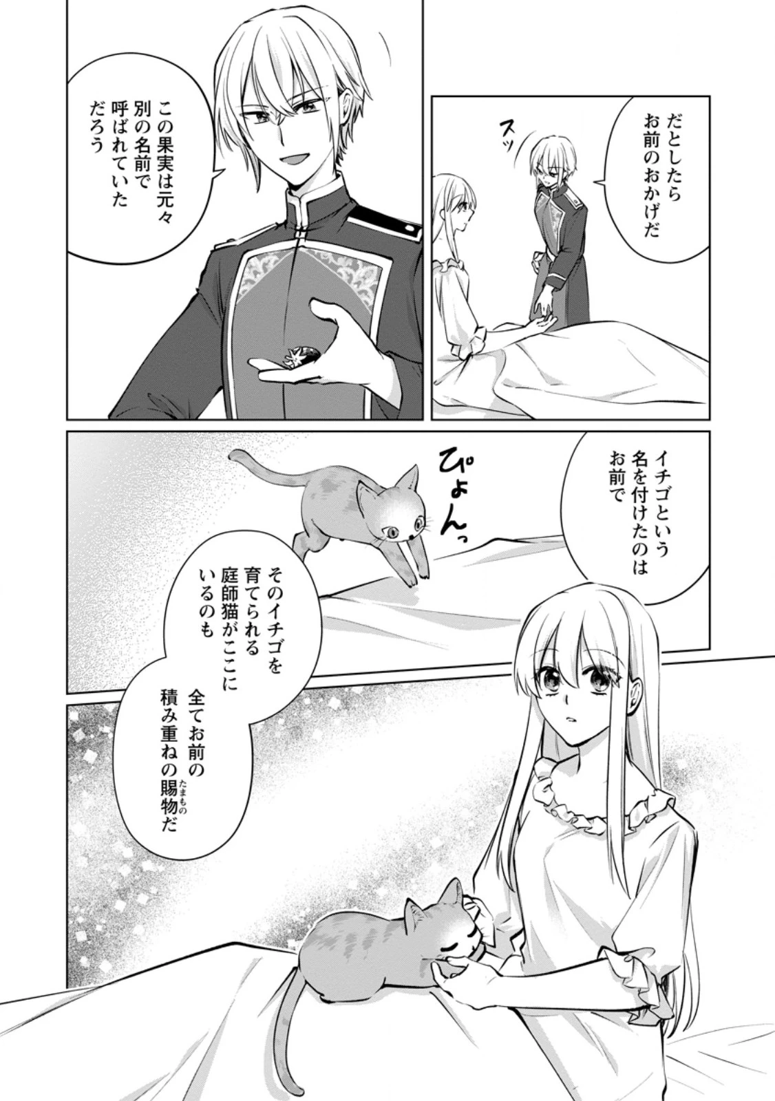 転生先で捨てられたので、もふもふ達とお料理します～お飾り王妃はマイペースに最強です～ 第50話 - 10