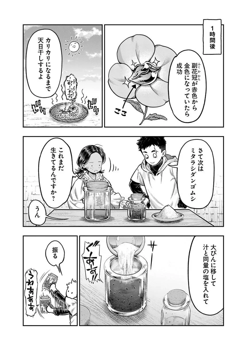 ニセモノの錬金術師 第23話 - 8