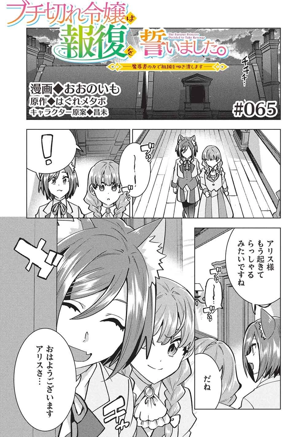 ブチ切れ令嬢は報復を誓いました。 ～魔導書の力で祖国を叩き潰します～ 第65話 - 1