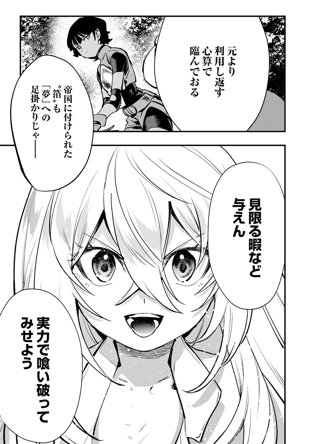修羅幼女の英雄譚～半端者と言われた傭兵、幼女に転生して成り上がる～ 第13話 - 21