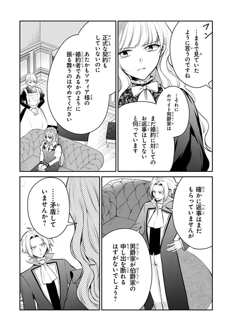 義妹が聖女だからと婚約破棄されましたが、私は妖精の愛し子です 第34話 - 7