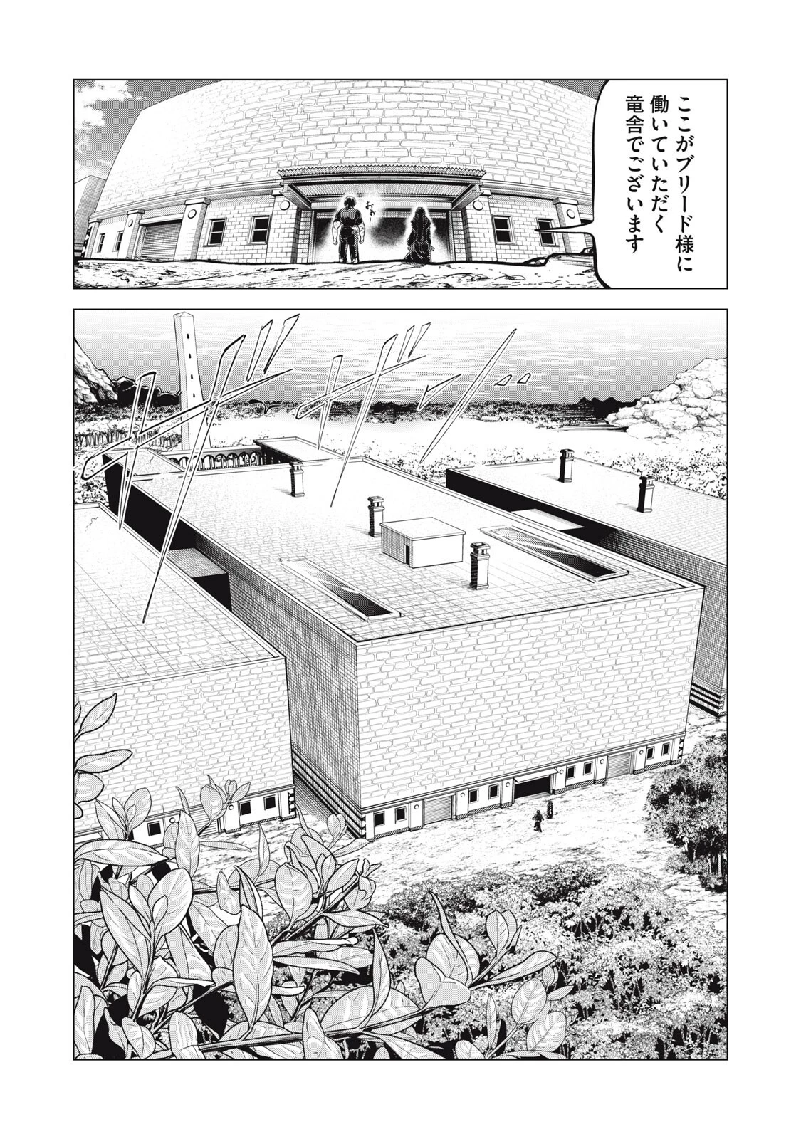 国を追われた竜師さん、拾われた隣国でうっかり無双してしまう。〜弱小国家が大陸最強の竜の楽園になるまで〜 第41話 - 1