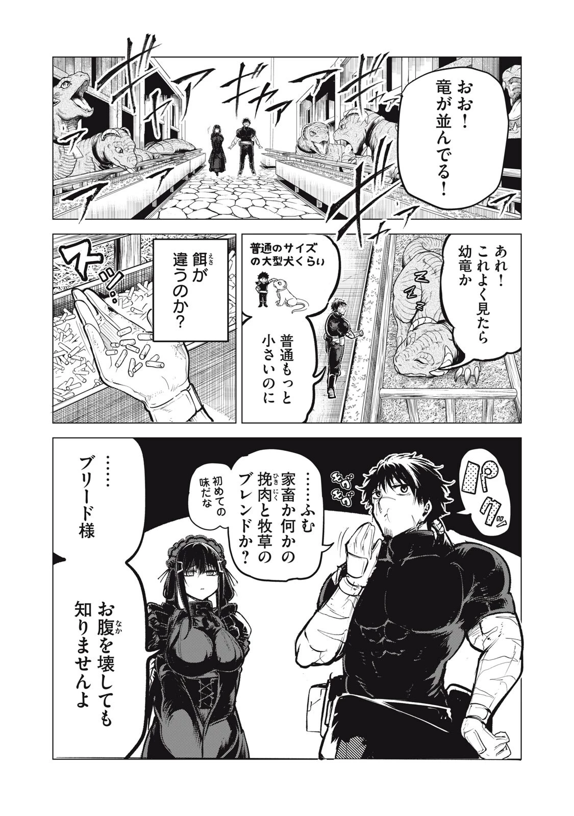 国を追われた竜師さん、拾われた隣国でうっかり無双してしまう。〜弱小国家が大陸最強の竜の楽園になるまで〜 第41話 - 3