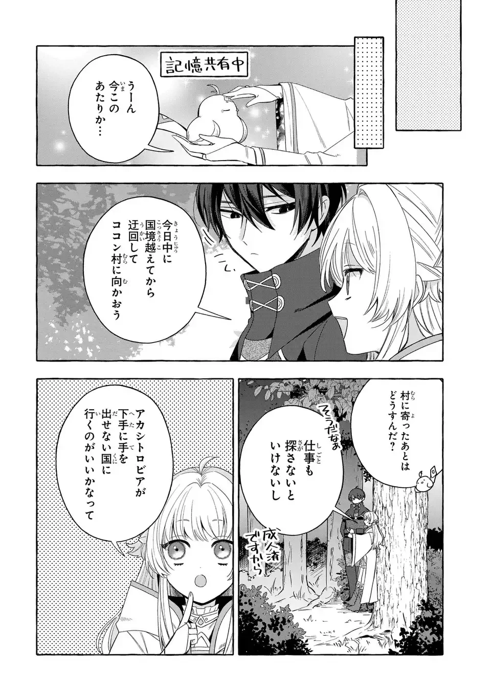 わたしの創った千年王国 天才魔導師の自由気ままな転生無双譚 第8話 - 12