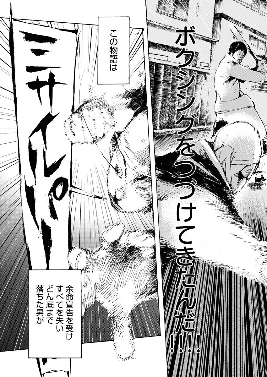 僕×スター 第48話 - 20