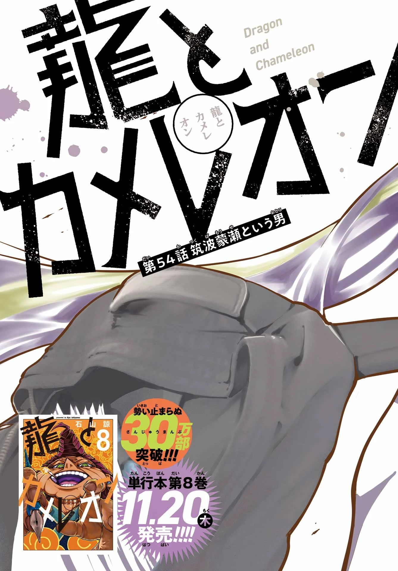 龍とカメレオン 第54話 - 3